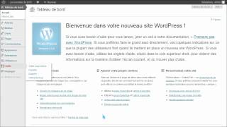 LWS  Wordpress  Ajouter une extension de sauvegarde dans Wordpress [upl. by Norah892]