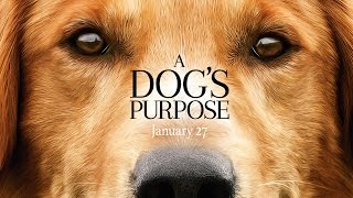 A Dog’s Journey  Meet the Actors Josh Gad Dennis Quaid amp Betty Gilpin  Bonus Feature Clip [upl. by Wylie]