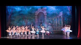 Bayer Ballet Academy Show Case 2018 Dream Scene from Don Quixote [upl. by Brittain]