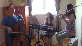 Air on G String  Violin Cello and Piano Trio [upl. by Bunce]