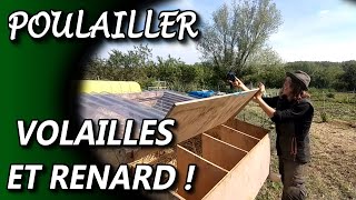 Volailles Poulailler Et Renard   RETROSPECTIVE  9 mai 2021 [upl. by Ealasaid]