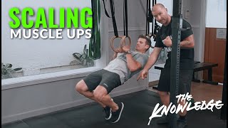 How to Scale Muscle Ups [upl. by Ynattib]