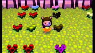 Animal Crossing City Folk Hybrid Flower Guide [upl. by Minna654]