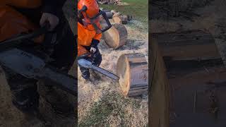 10yo starts and cuts with stihl ms362 chainsawman lumberjack [upl. by Rammus812]