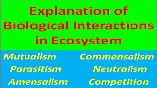 Explanation of Biological Interactions in Ecosystem [upl. by Anastasius]