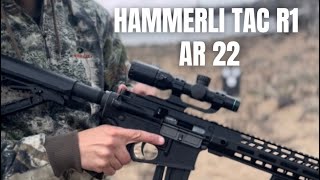 Hammerli Tac R1 22 Review and Shooting [upl. by Madigan341]