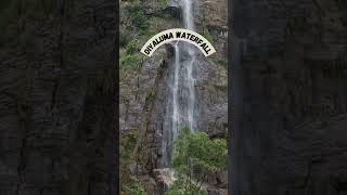 DIYALUMA WATERFALL SRI LANKA Diyaluma Falls Bridge srilankanadventure [upl. by Saltzman]