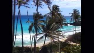 Caribbean  Barbados Windsurfing Kitesurfing Surfing and SUP Holidays with Sportif Travel [upl. by Noiek105]