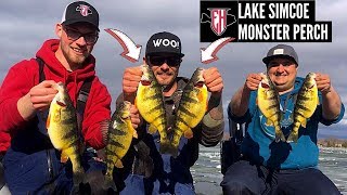 Spring Time Fishing For MUTANT Lake Simcoe Perch EVERY CAST [upl. by Crutcher581]