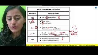 Aortic Arch Derivatives  Easy Mnemonic [upl. by Ricard]