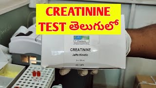 CREATININE test in telugucreatinine clearance test creatinine normal rangeswhat is creatinine [upl. by Edris985]