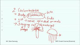 Classification of Organisms SEE Grade 10  Science  Learnsic  Day 3 [upl. by Esilahc]