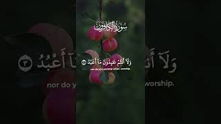 Al kaferon tilavat Quran pak recitation of surah Al e [upl. by Magdala]