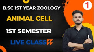 bsc 1st year zoology chapter 1  discovery of cell and cell theory bsc 1st year  zoology class 1 [upl. by Sucrad]