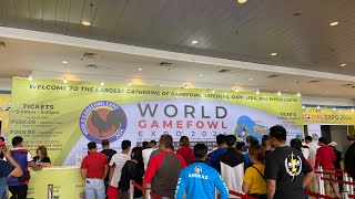 World Gamefowl Expo 19 January 2024  world trade center lightredgf [upl. by Pembrook]