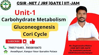 Metabolism of carbohydrates  Gluconeogenesis  Cori Cycle  L15 [upl. by Buffo197]