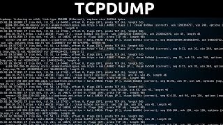 tcpdump  Traffic Capture amp Analysis [upl. by Asilenna756]