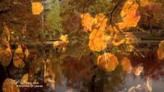 BERNWARD KOCH  A Shimmer Of LeavesRelaxing soothing music [upl. by Dickerson]