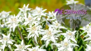 Edelweiss  Piano Cover by Yoke Wong [upl. by Sufur]