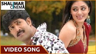 Allare Allari Movie  Nuvvaaina Nenainaa Video Song  Allari NareshVenuParvati Melton [upl. by Nozicka]