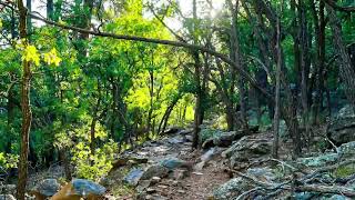 Hiking Mountainaire in the Coconino National Forest ￼ [upl. by Elatsyrc898]