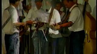 Sourwood Mountain band PreddyFest 2003 [upl. by Yoccm]