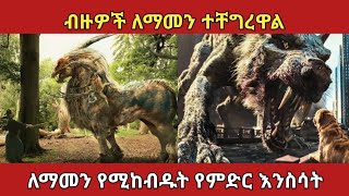 በርካቶችን አፍዘው ያስቀሩት የምድር ሚስጥራዊ እንስሳትamazing animals ethiopia አስገራሚ zena [upl. by Savihc626]