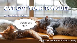 Cat Got Your Tongue What Does That Mean  Learn English Idioms [upl. by Henn]