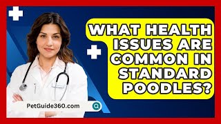 What Health Issues Are Common in Standard Poodles  PetGuide360com [upl. by Dorolice]