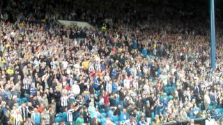 Sheffield Wednesday v Millwall Bouncing Owls celebrate Lleras Winner [upl. by Ermina]