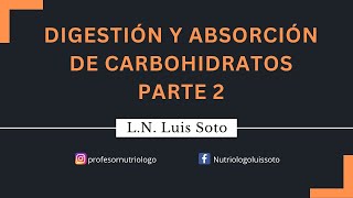 Digestión y absorción de carbohidratos Parte 2 [upl. by Debbie]