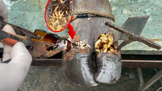 EXTREME Hoof Care Secrets NO ONE Tells You About Cutting and Trimming [upl. by Nekcerb]