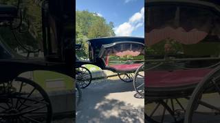 Hearse Show at Laurel Hill Cemetery philly pennsylvania hearse funeral foryou [upl. by Asnerek387]