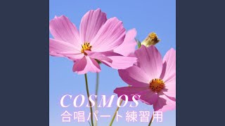 COSMOS テノール Cover [upl. by Namus]