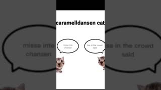 Misheard lyrics caramelldansen [upl. by Irpac]