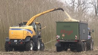 PappelKurzumtriebsplantage Häcksler fährt durch 15 cmStämme [upl. by Etteroma644]