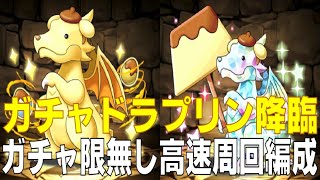 【ダイヤ対応】ガチャドラプリン降臨 ガチャ限無しソロ高速周回編成パズドラパズルampドラゴンズPUZZLEampDRAGONS [upl. by Lucchesi]