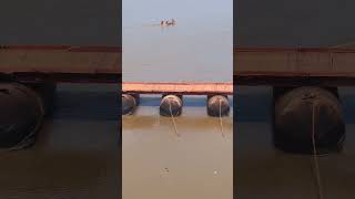 Pontoon Bridges Number In Prayagraj Mahakumbh 2025 prayagraj mahakumbh2025 ghumakkadprayagi [upl. by Rooke26]