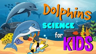 Dolphins  Science for Kids [upl. by Cordeelia766]