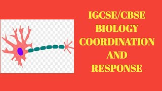 COORDINATION AND RESPONSE  IGCSE  O LEVEL  BIOLOGY  GCE  CIE  GR9  Senkumar Creations [upl. by Pentheas962]