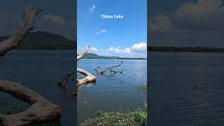 Thissa Lake at Thissamaharama  srilanka lakeview viralvideo [upl. by Aleacin]