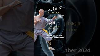 Wing Chun Baat Dao Event Helmond Netherlands [upl. by Aspia]