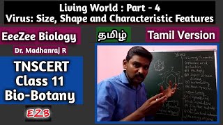 Virus  Size Shape and Characteristic Features  Living World Part4  BioBotany  TNSCERT Tamil [upl. by Yattirb]