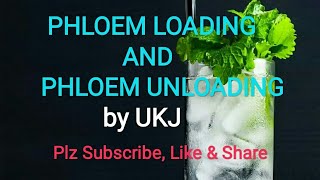 PHLOEM LOADING AND UNLOADING [upl. by Hildagarde616]