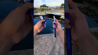 Amazing Fishing Rodstatus like yutubeshorts [upl. by Biebel]