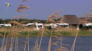 CaravaningReisende Camping Hvidbjerg Strand Ferienpark [upl. by Stockton201]