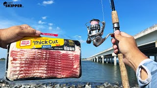 Fishing w Bacon to Catch Flounder Limit NO JOKE ACTUALLY USEFUL Catch and Cook [upl. by Memory847]