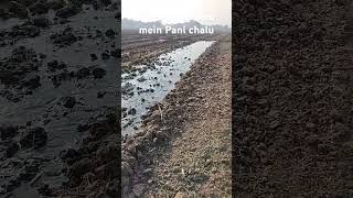 Dhaniya ke khet khet mein Pani Dena chalu [upl. by Bernice]