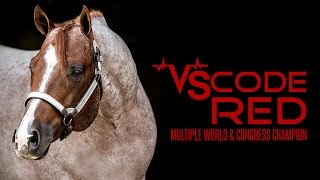 VS Code Red 2007 Red Roan AQHA Stallion [upl. by Ardnasela]