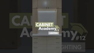 cabinetacademy Lighting cabinetrydesign kitchencabinets bathroomcabinets solutionsaturday [upl. by Win107]